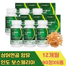 고농축 유향나무 보스웰리아 먹는법 글루코사민 캡슐 콘드로이친 보스웰릭산 추천 홍합추출물 녹색입 홍합 상어 연골 해조 칼슘 엔아세틸글루코사민 50대 60대 70대 80대 90대