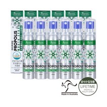 라이프타임 프로폴리스 마우스 스프레이 25ml 6병 민트 무설탕, 상세설명 참조, 없음