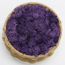 스칸디아 이끼 모스 액자 실내공기정화식물인조 식물 영원한 생명 이끼/정원 홈 인테리어 벽 DIY 꽃 재료, 09 I1_03 40g