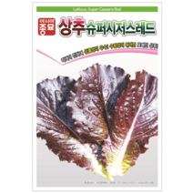 아시아종묘 상추씨앗 슈퍼시저스레드 (1000립), 1.슈퍼스저스레드 1000립