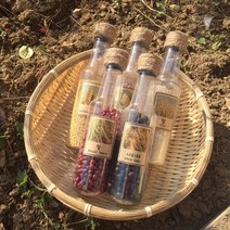 곡식마라카스/가을교구/곡식교구/마라카스/음률교구