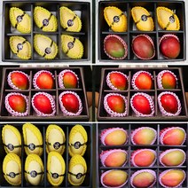 태국망고 애플망고 프리미엄 망고 과일 선물세트, 상세페이지 참조2, 애플망고 6과 대과 선물