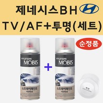 순정품 현대 제네시스BH TV AF 팬텀블랙 스프레이 페인트 + 투명스프레이