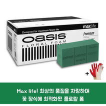오아시스 프리미엄 플로랄폼 1박스 20개입 작업장갑 꽃꽃이 재료 용품 자재스토어 +전용장갑셋트, 4박스+장갑셋트