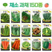 쌈 채소 씨앗 모음 고수 공심채 루꼴라 궁채나물 수박 참외 호박 토마토 상추씨 동남아 종자, 15. 흑치마 3g