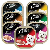 시저 7종혼합100gx24개, 12박스