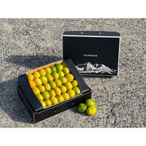 [빛나는 제주] 고당도 하우스감귤 제철 하우스 가정용 추석 명절 선물세트 3kg 5kg, 5kg+5kg 하우스감귤 로얄과 선물포장