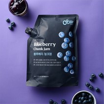 [천삼백케이] [메가커피] 앤드로스 블루베리 리플잼 1kg 2개세트, 2개
