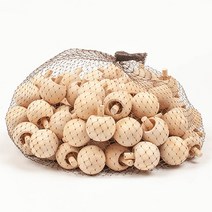 신나라-닷컴_버섯 모양 나무 거꾸로 팽이 만들기수업재료 DIY 꾸미기 이꾸미기 이만들기 어린이만들기 만들기교구 만들기 DIY이_ tlsskfk