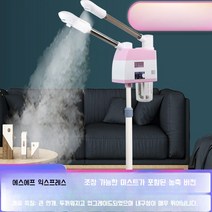 얼굴 안면 스티머 피부 스팀기 피부샵 미용실 증기 온열 냉열, 더블 튜브  냉난방 스프레이