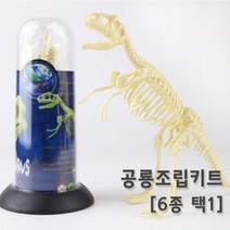공룡뼈 화석 모형 조립 피규어 장식품 교구 방과후 연구 관찰 과학 수업 실험 학습 초등 돌봄, 트리케라톱스