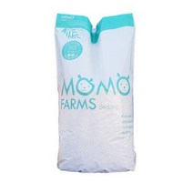 모모팜 슬림 와일드 아스펜 베딩, 1.2kg, 10개