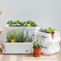 [피플랜트] 식용 허브 모종 키우기 텃밭화분 로즈마리 스위트바질 애플민트 딜 루꼴라 외16종, 화분선택 : 텃밭 만들기 키트(3개용)