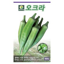 어린병사 조롱박 10립 - 씨 씨앗 조롱박씨앗 조롱박씨 박씨앗 박씨 채소씨 채소씨앗, 05_다농_오크라(50립)