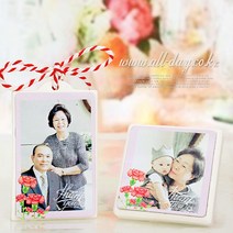 올데이 포토 석고방향제-카네이션(땡큐)-[본품+케이스+설명서], 인삼