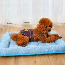 [소공원]강아지더울때 냉감 시원한 여름 고양이 여름 방석 쿨링 아이스 매트 펫방석 마약 소형견