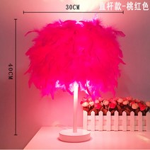 고급 인플루언서 깃털 장식 스탠드 조명 침실 거실, (화이트스틱)피치-LED + 조광식