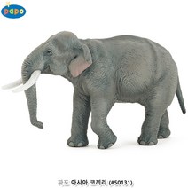 파포 (모형완구) 아시아 코끼리 (#50131)