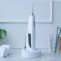 리브템 구강세정기 셀프 물치실 물칫솔 치아세정기 치간 물양치 살균 자동 세척기, LVT-F1000