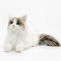 진짜같은 페르시안 고양이 인형 생일 선물 데코 인형, 옐로우 활 24x38