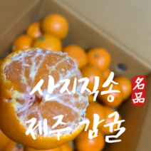 제주감귤 산지직송 하우스 감귤 가정용 2kg 3kg, 제주감귤 가정용3kg(소과), 1개