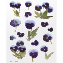 압화스티커 팬시 다꾸 폰꾸 스티커 팬지 꽃스티커 압화책갈피 꾸미기