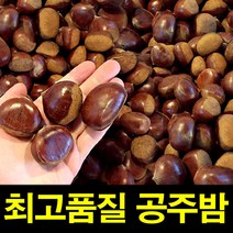 밤 밤효능 햇공주밤 1KG 칼집O 약단밤 밤삶는법 군밤