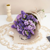 생화 택배 스타티스 꽃다발 꽃 정기구독 정기배송 안개꽃 드라이플라워, 스타티스 L, 화요일 도착(일요일까지 주문)