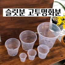 슬릿분 고투명 삽목화분 플라스틱 분갈이 공 빈 가벼운 화분 삽목용 삽목상자 모던화분 식물기르기, 20cm