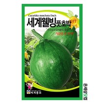 세계웰빙풋호박 30립 / 호박씨 호박씨앗 열매채소씨앗 풋호박씨