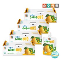순수식품 어린이 수세미배즙 4박스 120포 (100ml x 120포), 상세설명 참조, 없음