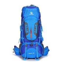 80L 관광 배낭 캠핑 하이킹 군사 배낭 스키 등산 장비 Haversack Sportbag Molle Survival Backpack, 파란색