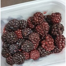 딜라잇가든 냉동 블랙베리(복분자) 1kg 1개, 복분자