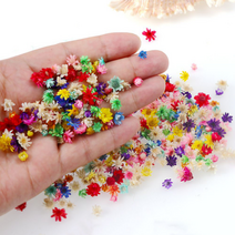 100Pcs Dried Flowers Natural Dry Daisy Plants for Diy Crafts Epoxy Resin Candle Jewelry Making Nail Art Accessories Diy, 01 100pcs-random color