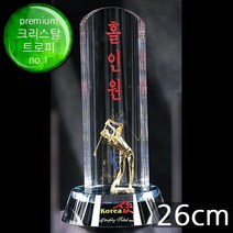 (트로피팩토리) 골프트로피 이글패 싱글패 홀인원패 골프상패 이글트로피 싱글트로피 홀인원트로피 홀인원기념패 TF5-13702