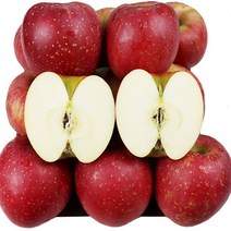 당도 높은 과즙 새콤 달콤 햇 청송부사 3kg 5kg 10kg, 일반선물용 5kg