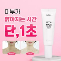 네시픽 피토 나이아신 화이트닝 톤업미백크림 50ml, 2개