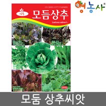 모듬상추 씨앗 3000립, 모둠상추
