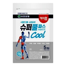 해피홈 슈퍼 쿨파스 5매입