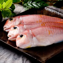 제주 참옥돔 -반건조급냉- 특 1.5kg 4~5마리, 1개
