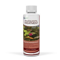 Aquascape 81041 Praziquantel Treatment for Pond Fish 8 Ounces 가성비 추천 미국직구