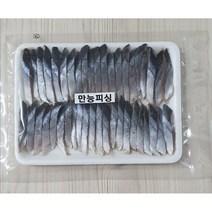 갈치낚시 멸치미끼 꽁치미끼 선상 텐야 생미끼, 멸치25마리