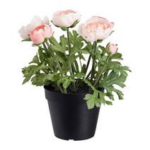 이케아 IKEA 인조식물 실내외겸용 라눙쿨루스 핑크 25cm