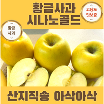 황금사과 노란사과 시나노골드 고당도 프리미엄 가정용 선물용 산지직송, 정품, 소과 15과  3kg