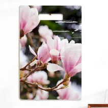 아트박스/꾸밈 nt703-행잉액자_봄이오는소리_목련(세로대형), 타입3