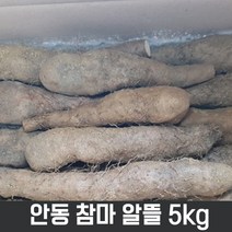 안동참마 산약마 알뜰 5kg (햇마)한시적할인합니다