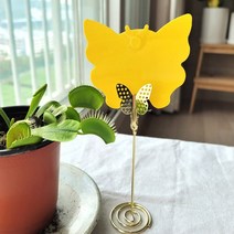 화분 초파리 제거 나비트랩 TY-0001 겨울 싱크대날파리 주방초파리 퇴치 끈끈이