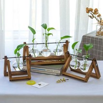 수경재배 화분 플랜테리어 원목 유리병 실내 장식품, T타입 C스타일 레트로(식물보내기)