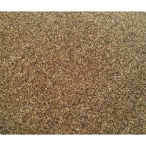 토종 잔대씨앗 1000립(1g)잔대종자/잔대/딱주/사삼/재래종