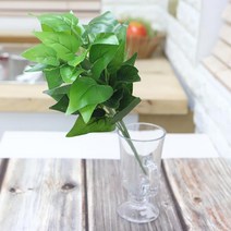 ABM 조화 스킨답서스 부쉬 4p, 그린, 4개